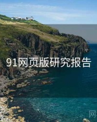 91网页版研究报告