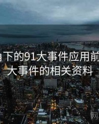 技术视角下的91大事件应用前景，911大事件的相关资料