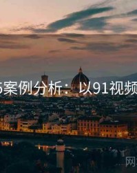 2025案例分析：以91视频为例