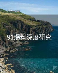 91爆料深度研究