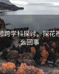 探花视频跨学科探讨，探花视频是怎么回事