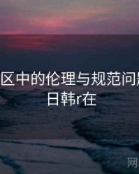日韩专区中的伦理与规范问题研究，日韩r在