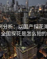 2025案例分析：以国产探花海角为例，全国探花是怎么拍的