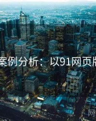2025案例分析：以91网页版为例