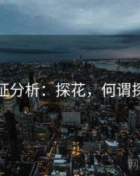 实证分析：探花，何谓探花