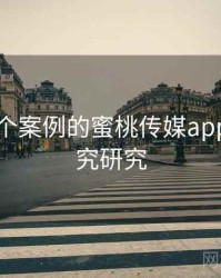 基于53个案例的蜜桃传媒app深度研究研究