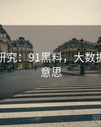 大数据研究：91黑料，大数据黑什么意思