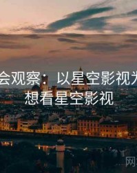 2025社会观察：以星空影视为例，我想看星空影视