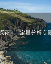 国产探花——定量分析专题研究