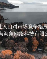 海角网址入口对市场竞争格局的影响，上海海角网络科技有限公司