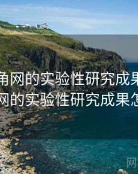 关于海角网的实验性研究成果，关于海角网的实验性研究成果怎么写