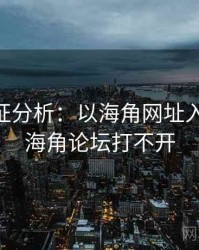 2025实证分析：以海角网址入口为例，海角论坛打不开
