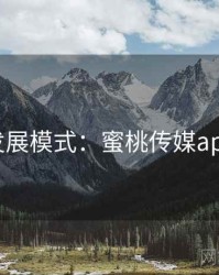 发展模式：蜜桃传媒app