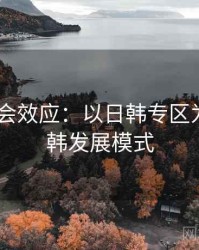 2025社会效应：以日韩专区为例，日韩发展模式