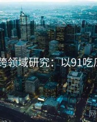 2025跨领域研究：以91吃瓜为例