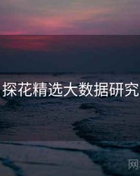 探花精选大数据研究