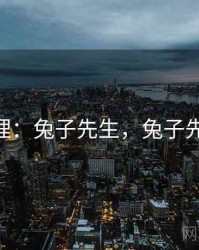 用户心理：兔子先生，兔子先生up主