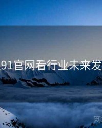 从91官网看行业未来发展