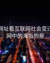 从海角网址看互联网社会变迁，互联网中的海指的是