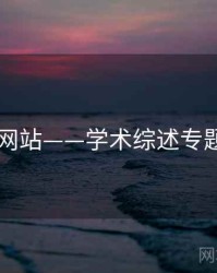 日韩网站——学术综述专题研究