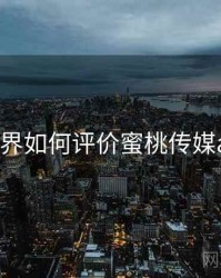 学术界如何评价蜜桃传媒app？