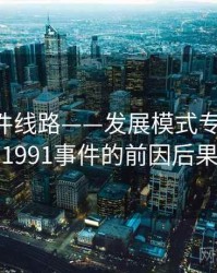 91大事件线路——发展模式专题研究，1991事件的前因后果