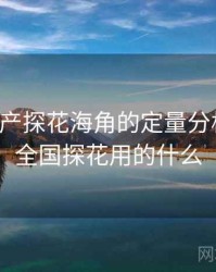 关于国产探花海角的定量分析报告，全国探花用的什么