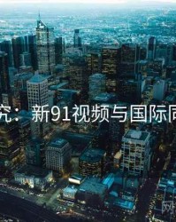 比较研究：新91视频与国际同类平台