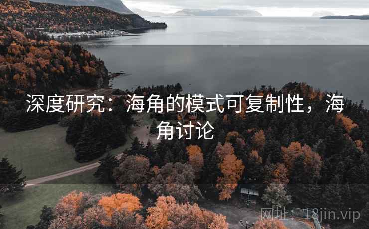 深度研究:海角的模式可复制性,海角讨论 深度研究:海角的模式可复制性,海角讨论