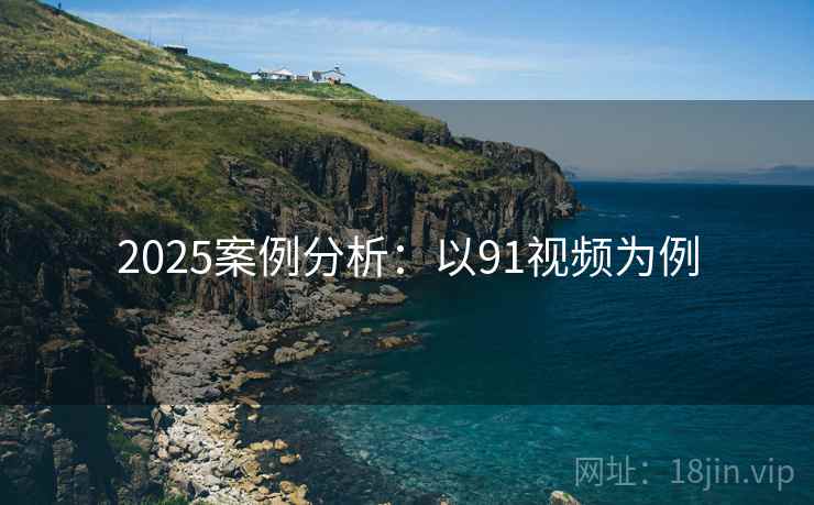 2025案例分析:以91视频为例 2025案例分析:以91视频为例