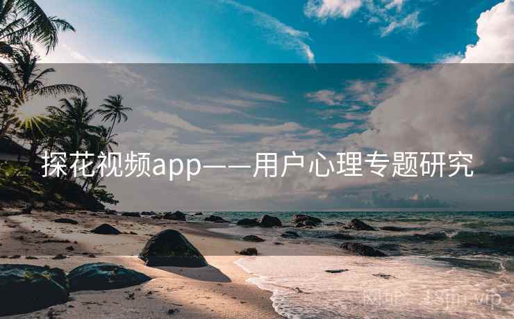 探花视频app——用户心理专题研究 探花视频app——用户心理专题研究